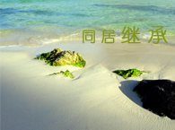 ͬ�����gһ����������һ���ɷ��^��