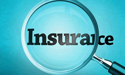 ��͢���� | ���y��+���U(xi��n)��ģʽ�@���J��к��L(f��ng)�U(xi��n)�����̎��