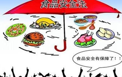 ʳƷ��ȫ�˜ʵ����|��ʲô��˼��