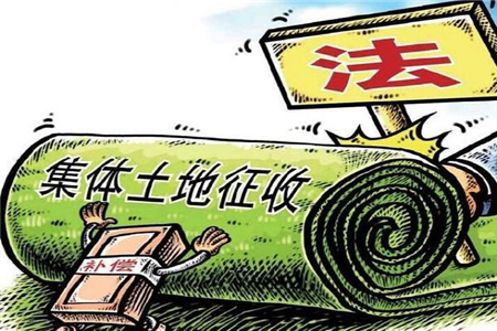 ���������Ɏ������w��������