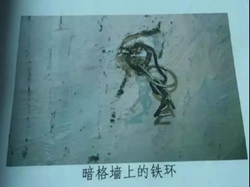 ��͢�f�� | 16�q��Ů����������24�� 50�q�����ӷ�������